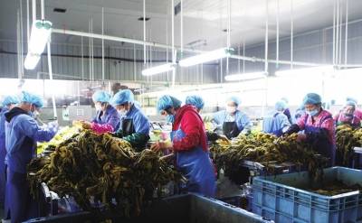 大产业·大带动·大脱贫 农产品驱动的乡村振兴路径